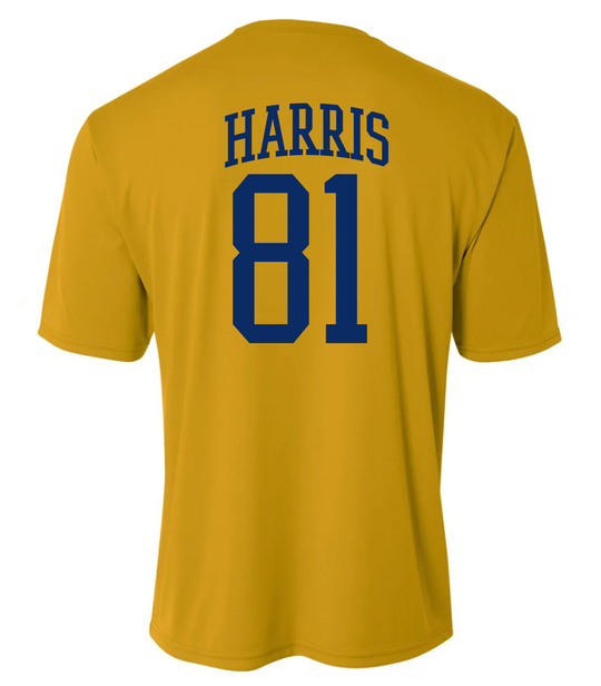 Go Bears Shirt