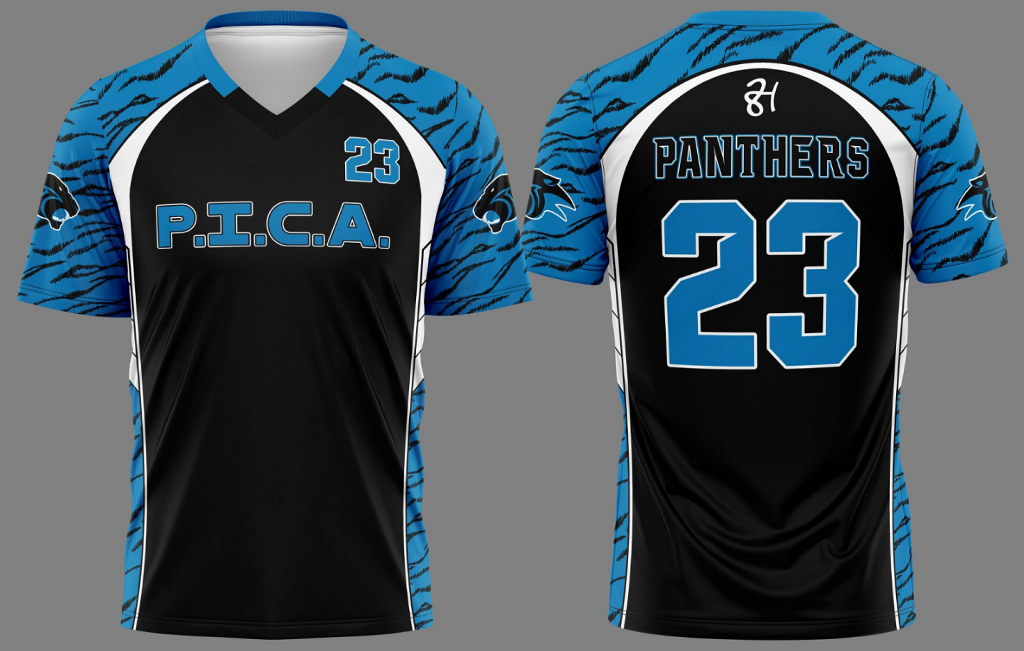 P.I.C.A. Panthers Boys Volleyball