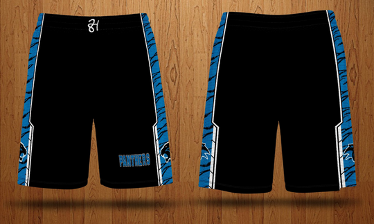 P.I.C.A. Panthers Boys Volleyball